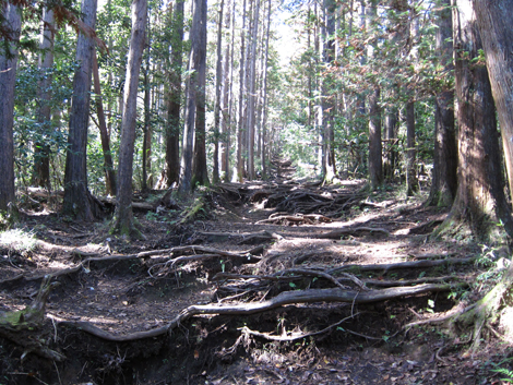 20201105hike (35)